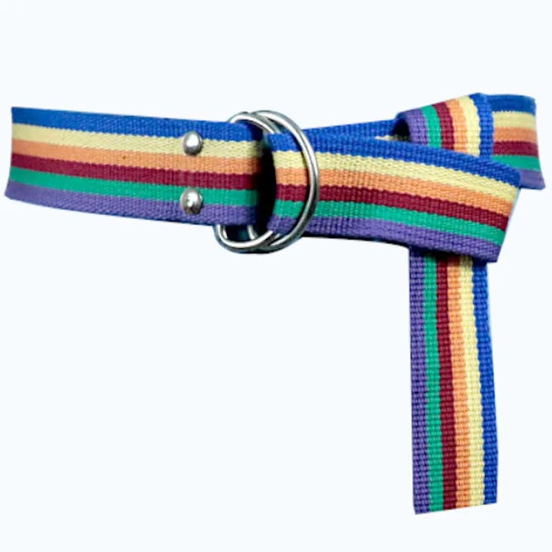 Fashion Design 2023 Rainbow Palaska Silver Color D Shaped Buckle Belt