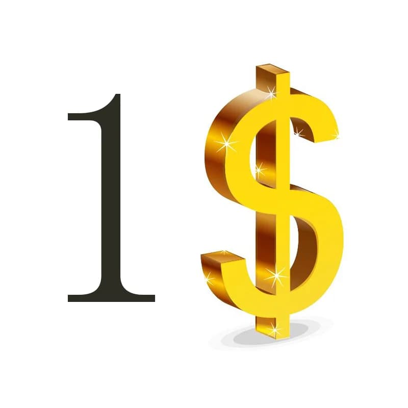 Pay for Extra (pay for shipping or extra fee ) Please Do Not Pay If Not Negotiated