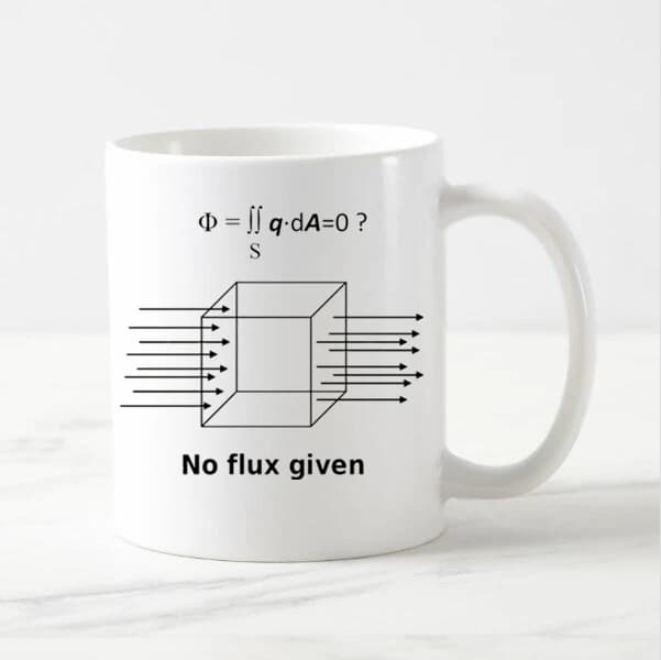 Hot Geek No Flux Given Mug Funny Science Physics Geek Coffee Mug Nerd Creative Ceramic Gifts Guy Beer Tea Cups Mugs White 11oz