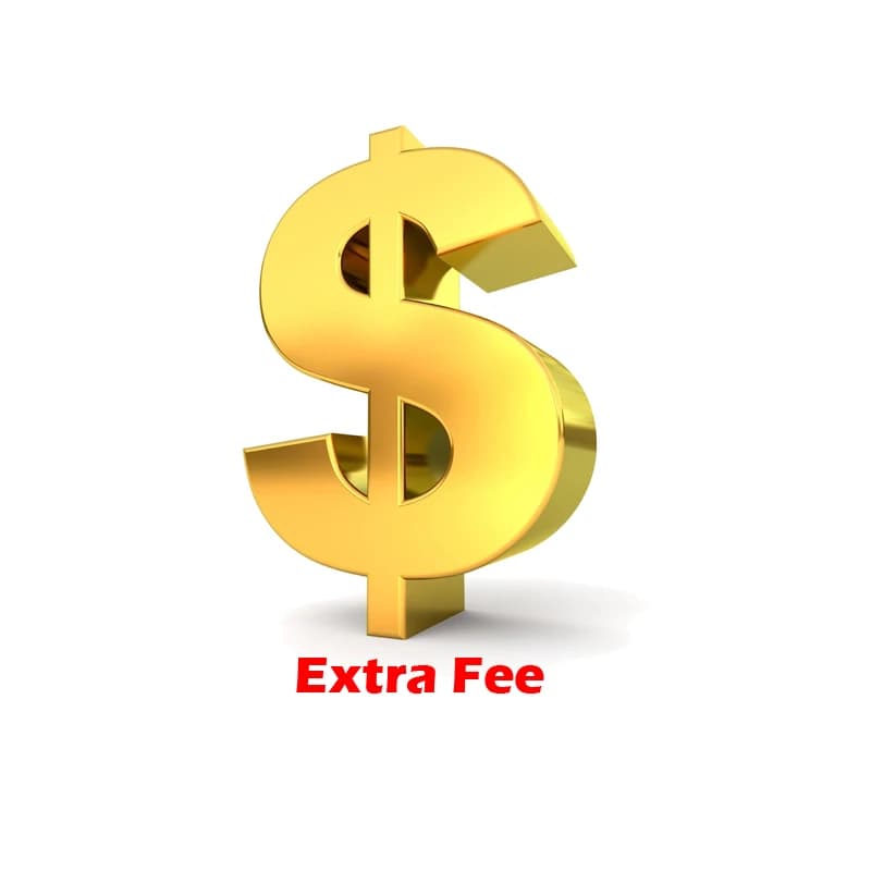 RAYKUBE Extra Fee Payment