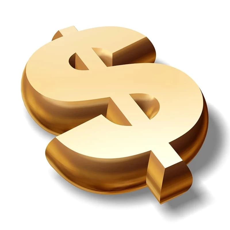 Extra Fee/cost just for the balance of your order/shipping cost Additional Pay on Your Orde