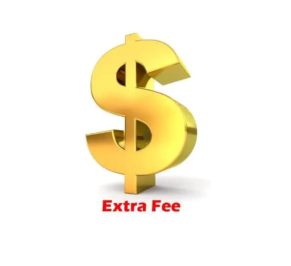 Extra fee 1