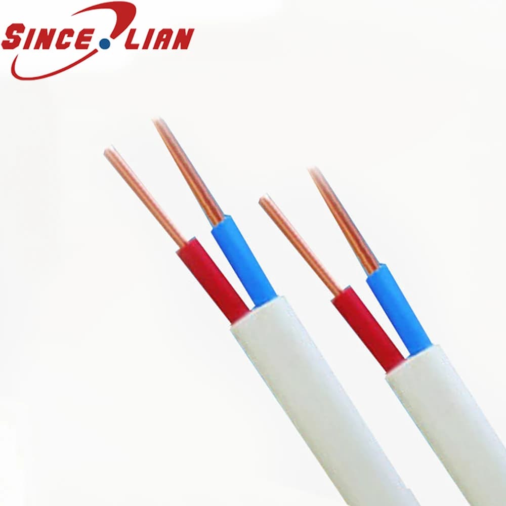 BVVB 2P Parallel Sheath Wire 4 Square 2 Core Wire Cable Bright White Hard Sheath White Sheath Home Improvement Wire