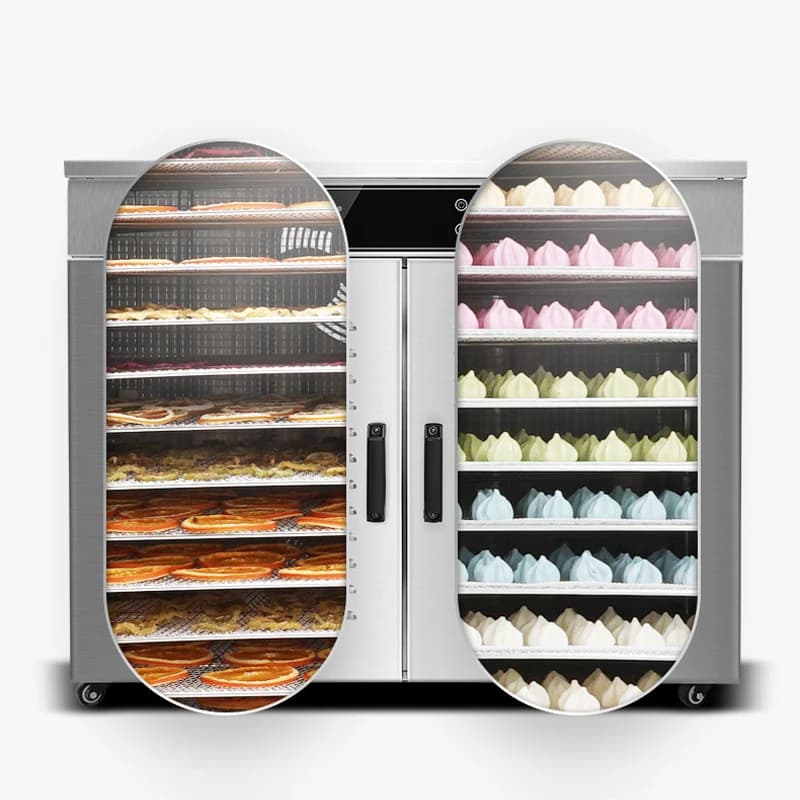 Fruit dryer LT-016 household food meat jerky production, fruit and vegetable dried fruit solubilizing bean air dryer