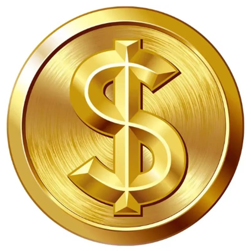 Special Payment Link Not For Normal Sell， for fast shipiing,custom