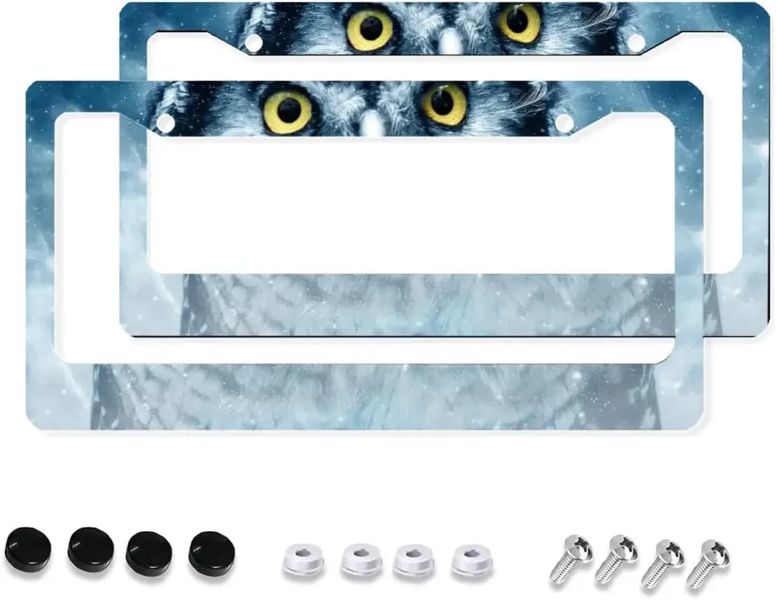 Owl Eyes 2pcs License Plate Frames Universal Novelty Plate Holder Tag Sign 12" x 6" Car Exterior Accessories for Us Vehicles