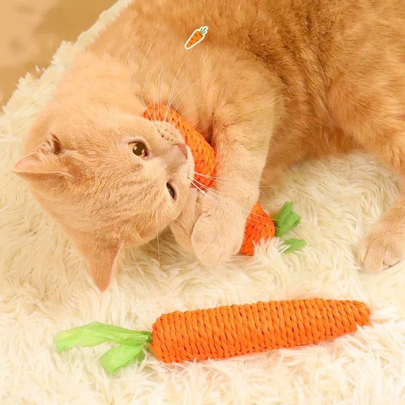 Cat toys make sounds, carrots, cat sticks, self-sex, kitten teething sticks, resistant to bites, cats, toys, pet supplies