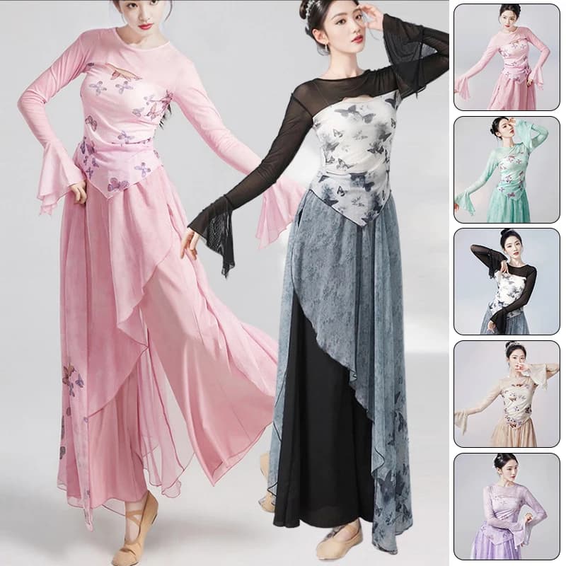 Chinese Style Folk Dance Costumes Butterfly Print Elegant Classical Dancer Practice Clothes Dress Body Rhyme Top Pantskirt