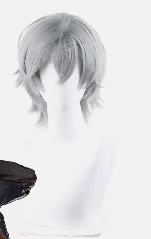 Sousou no Frieren Wise Cosplay Wigs 35cm Short Straight Grey Men Synthetic Hair