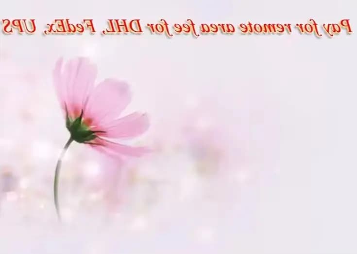 Pay for the extra fee shipping 20250925