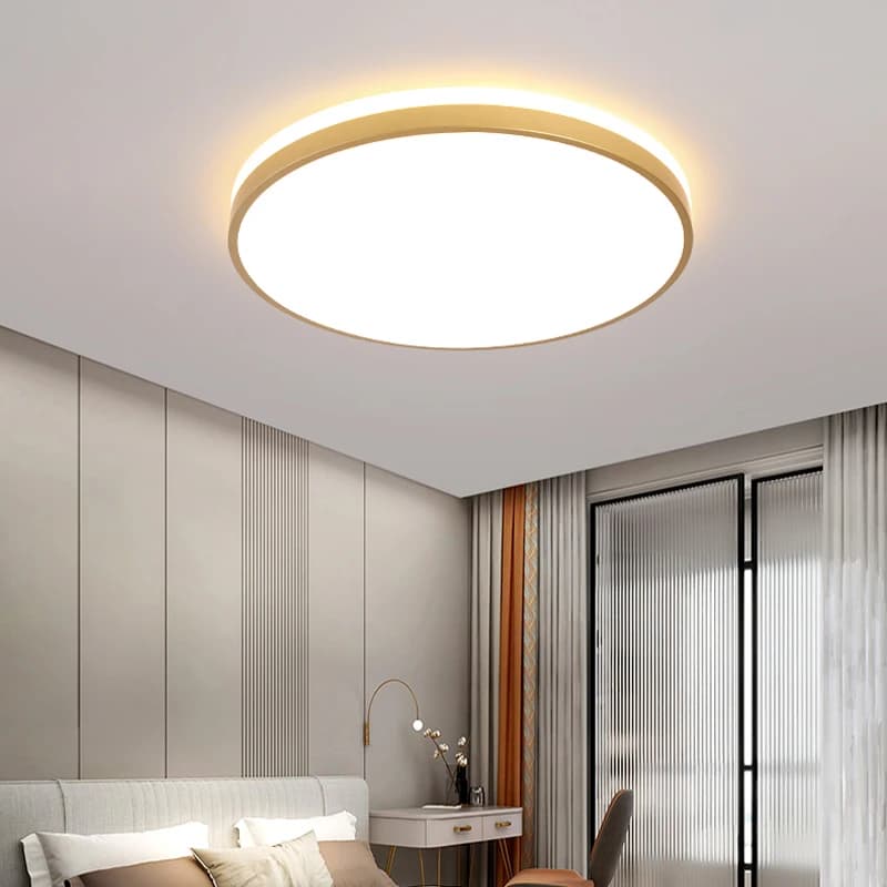 Modern LED Ceiling Light Living Room Bedroom Light Corridor Balcony LED Ceiling lamp Kitchen Ceiling Lights Surface mount