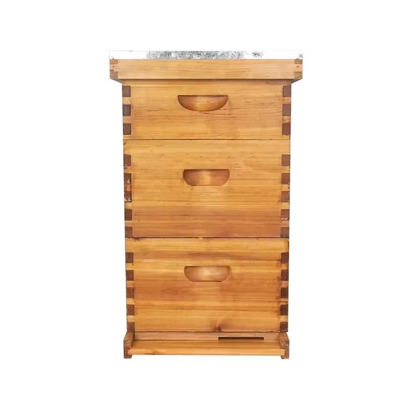 Wholesale Wax Coated Wooden Langstroth Bee Hive Complete Beehive Box 3 Layers With Frames Custom Logo Beekeeping Equipment