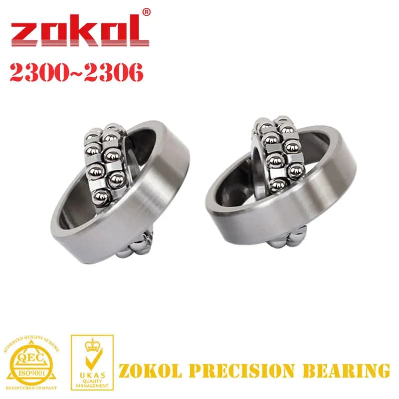 2300 2301 2302 2303 2304 2305 2306 Self-Aligning Ball Bearing