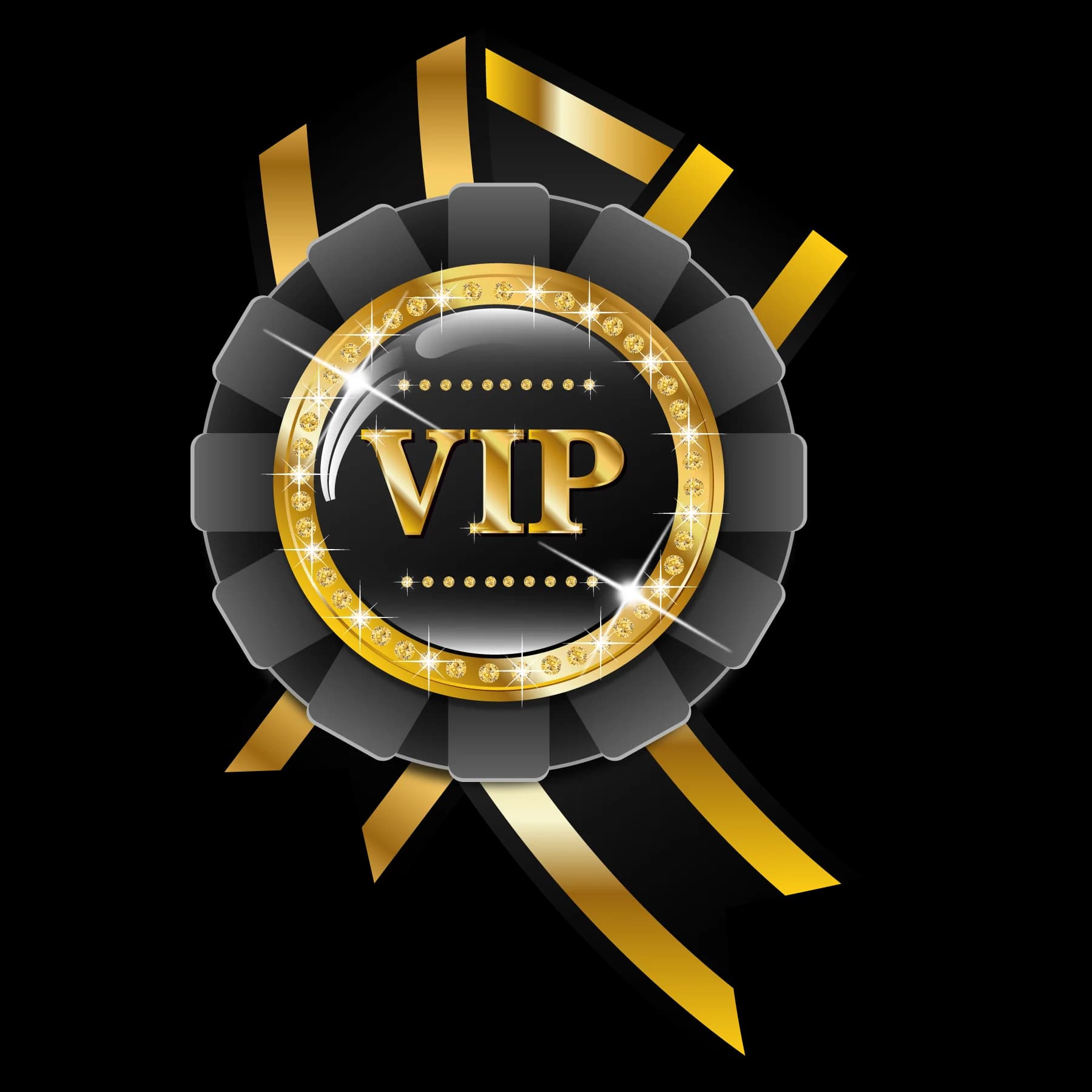 VIP Customer Customized Link 1