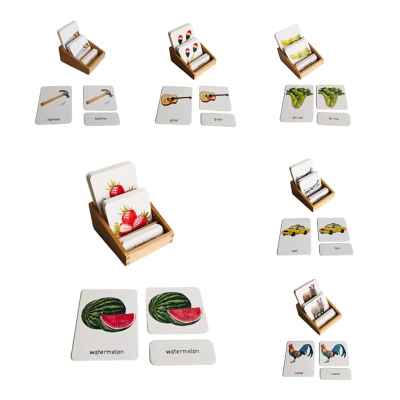 Montessori Language Materials 3 Part Cards of Fruit/ Vegetable/ Tools/ Instrument/ Farm/ Transportation Kids Learning Resources