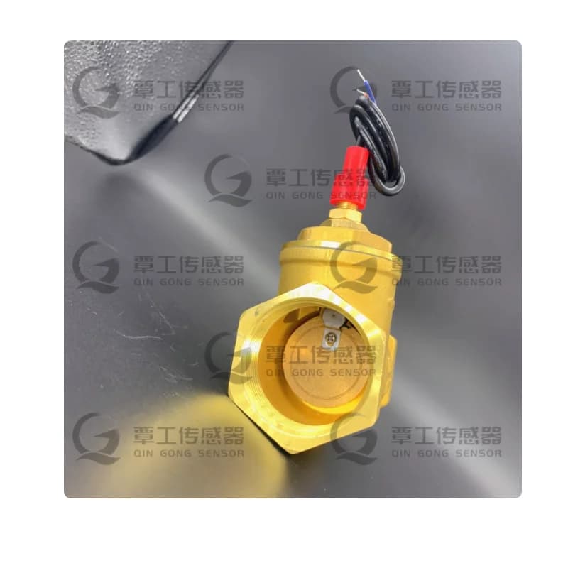 Water Flow Sensor Signal Flow Switch DN40 1.5 Inch High Temperature Baffle Type