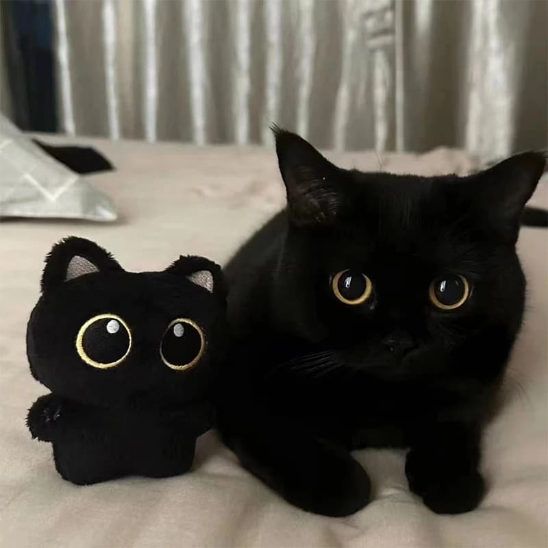 10cm Cute Black Cat plush toy Doll Small Pendant Cuddly Pillow Cushion Ins Black Cat Plush Toy Doll for Boy Girl birthday Gifts