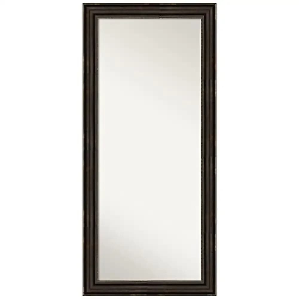 Full Length Stately Bronze Mirror 66.25 x 30.25 in. Non-Beveled Glass Wood Frame Floor Standing or Wall Mounted Mirror Bedroom