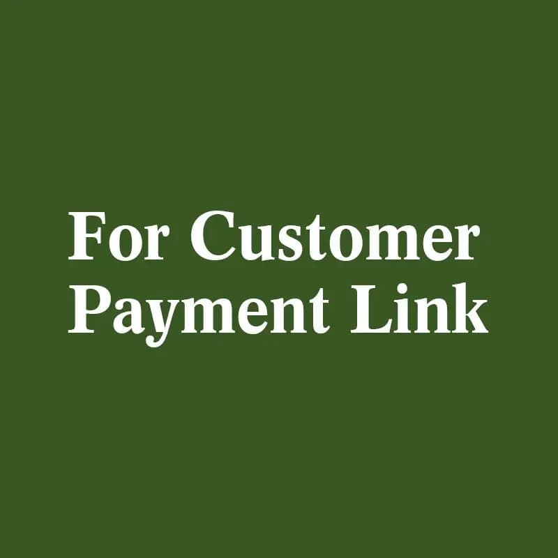 For Customer Payment Link