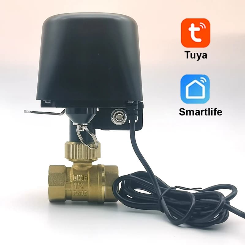 Zigbee WIFI Tuya Smart Water Vavle Stop Check Valve DN15 DN20 DN25 Wireless Automation Control Timer Work with Alexa Google Home