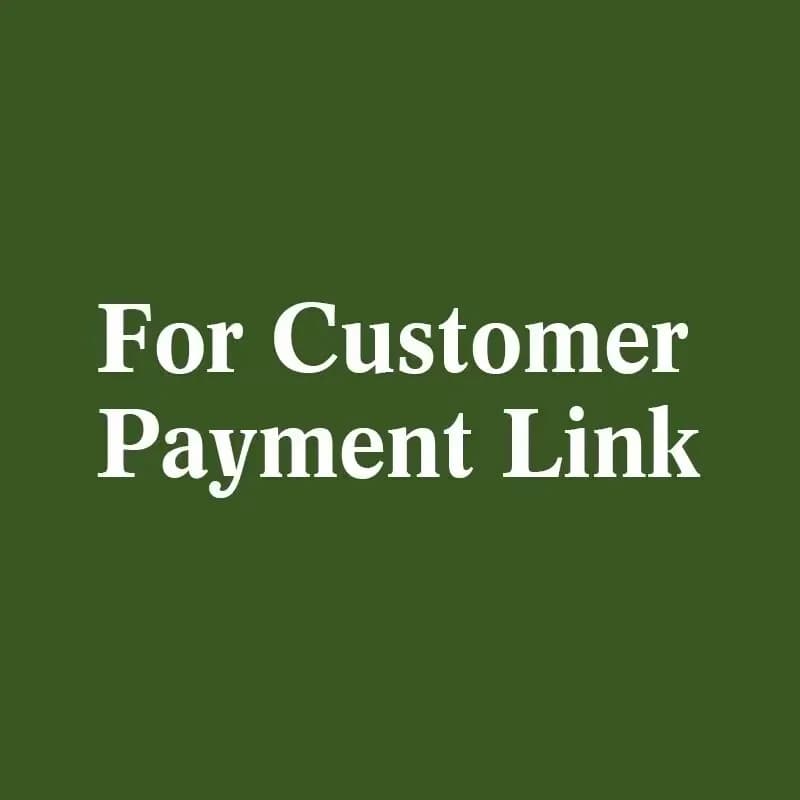 For Customer Payment Link