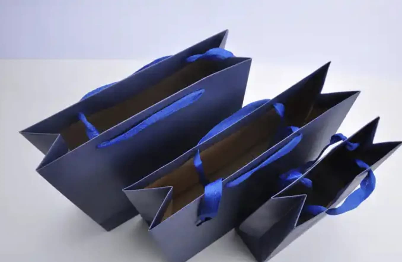 10pcs Holiday Birthday Wedding Party Gift Bags