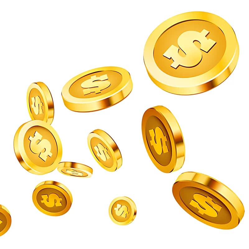 Extra Fee & Shipping Fee --Thank you