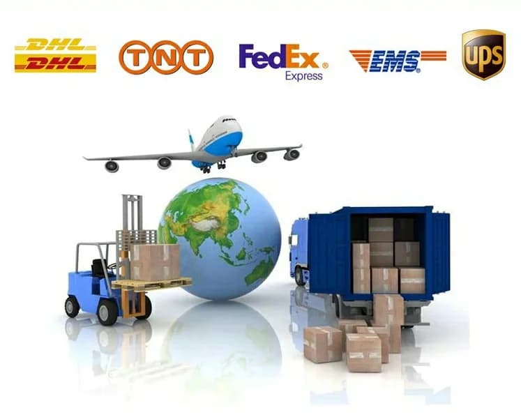 Ciynsia Express Shipping Fee