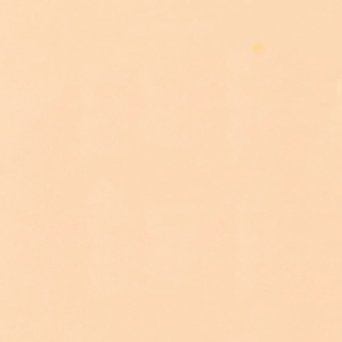 Wholesale Zone- Special link expedited shipping cost Or Price Difference