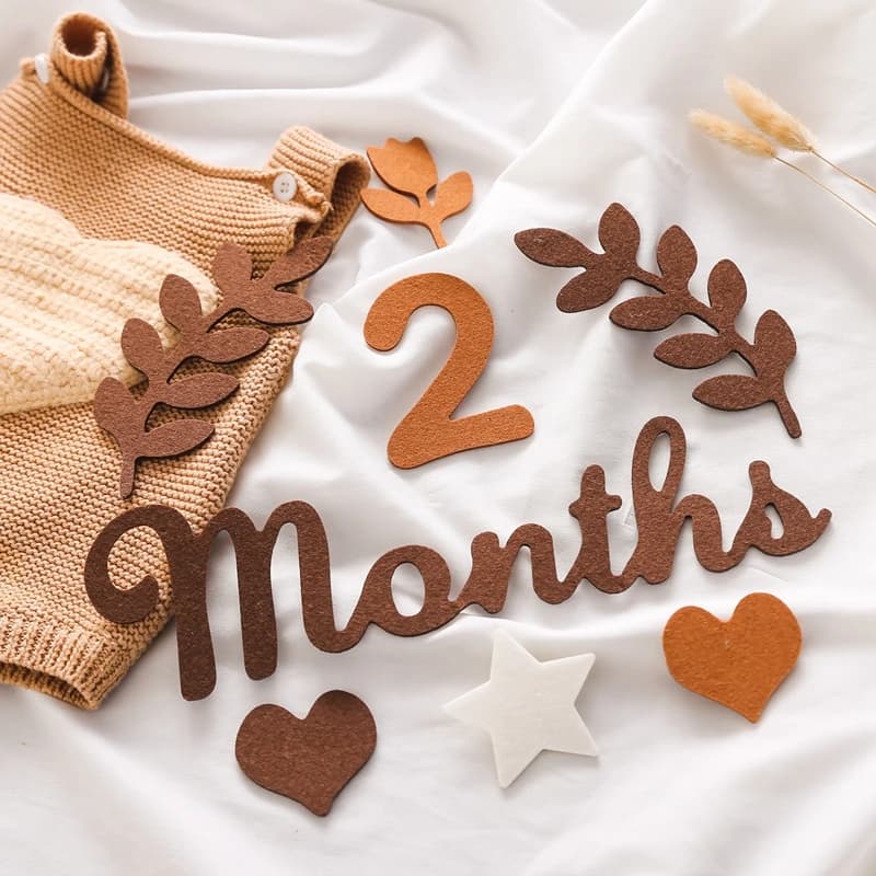 Baby Milestone Cards Soft Felt 0-12 Monthly Milestones Memorial Commemorativenir Photography Accessories For Newborn Birth Gift