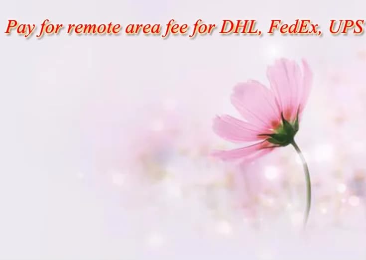 Pay for remote area fee or shipping fee 20251121