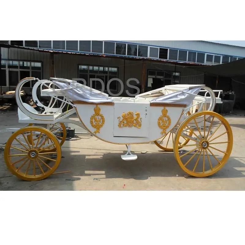 carriage ride Wedding occasion horse carriage special transport sightseeing vehicle for sale