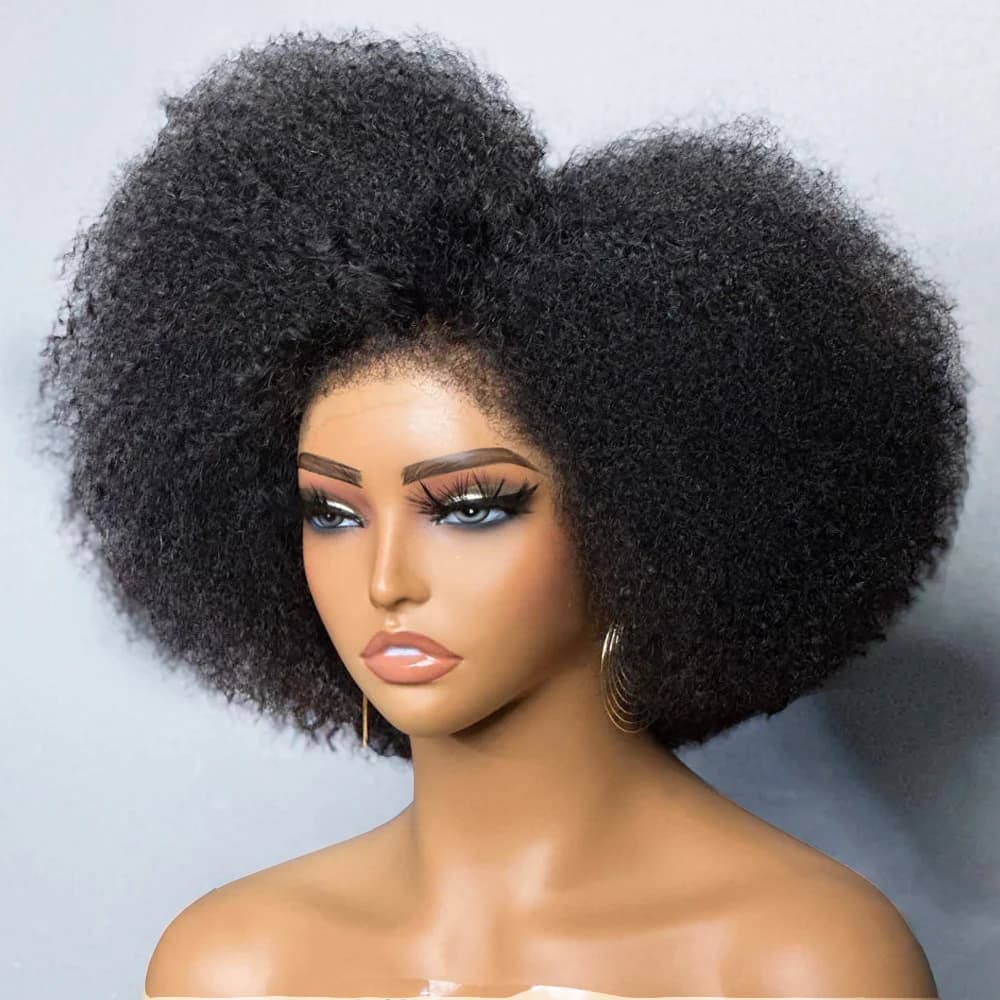 Afro Wigs for Black Women Kinky Curly Lace Front Wig Afro Short Bob Human Hair Wig 13x4x2 HD Lace Natural Hairline Glueless 250%