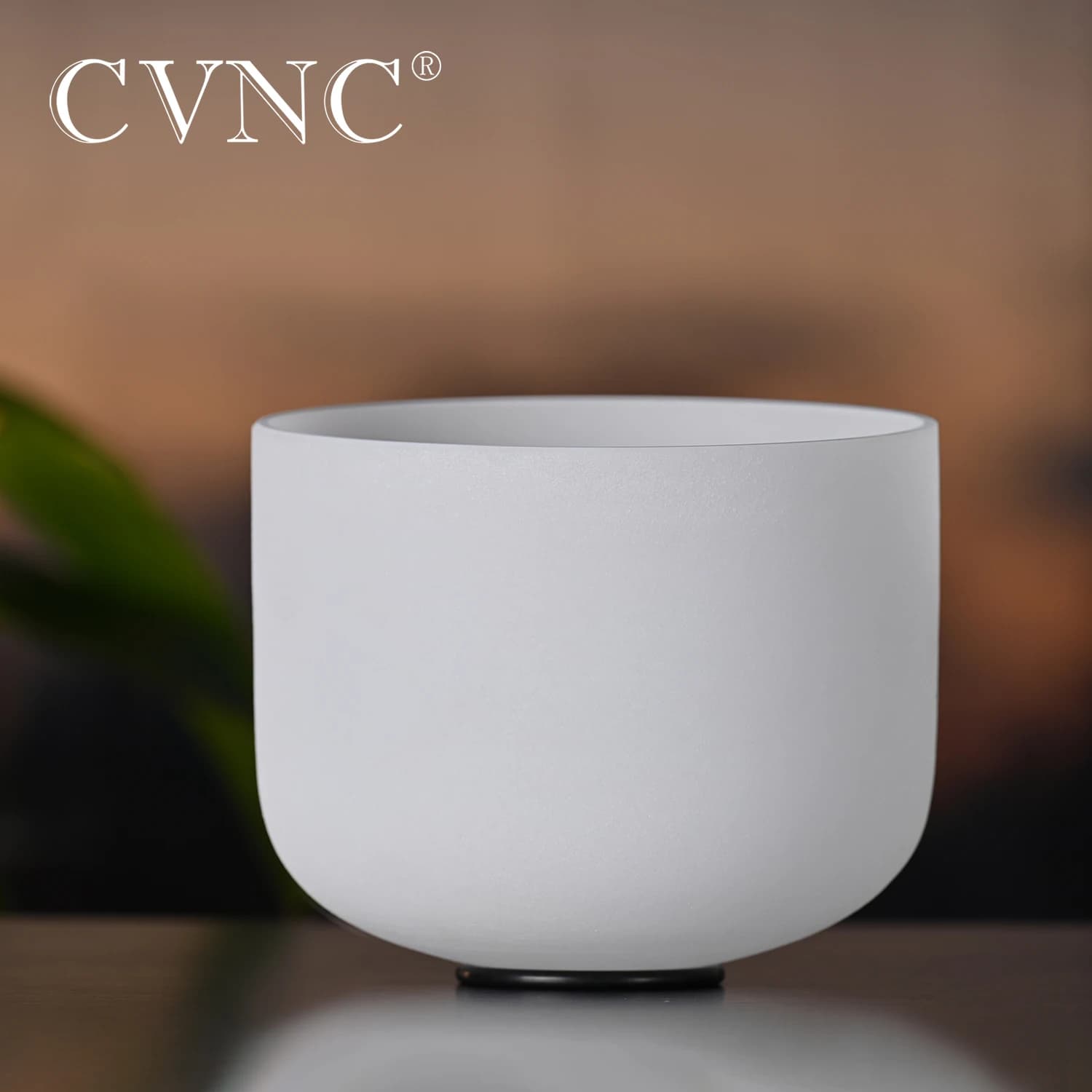 CVNC 16 Inch Chakra Frosted Quartz Crystal Singing Bowl for Sound Healing Energy Balance meditation with Free O-ring & Mallet