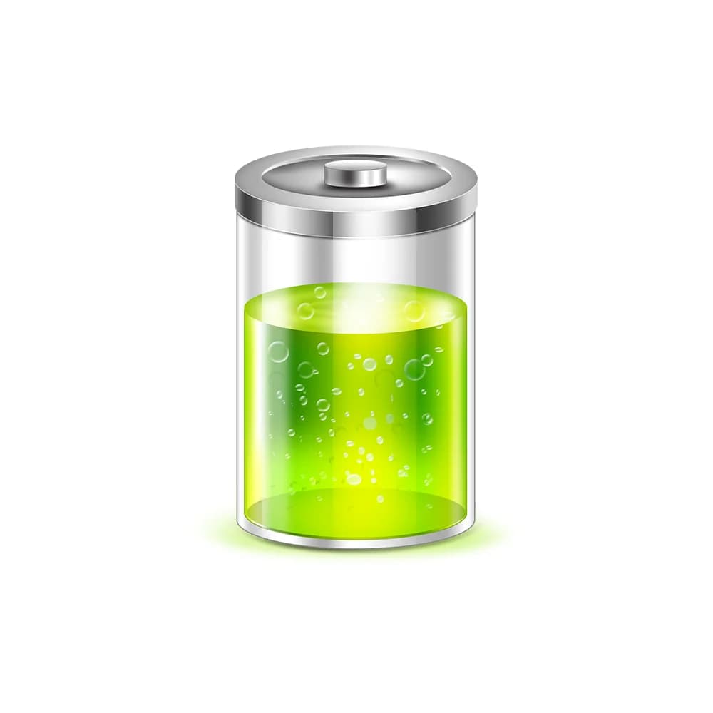 Payment Link as we talked