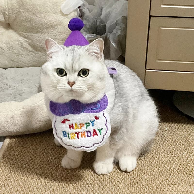 1set Dog Cat 2025 Birthday Happy Suit Scarf Hat Mini Bandana Cute Pet Clothing Adjustable Dress Up Birth Gift Party Supplies ﻿