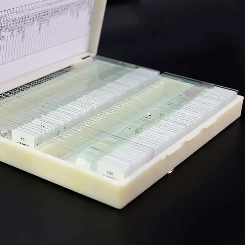 200PCS Professional Prepared Human Tissue Sections Histology Specimen Microscope Slides for Basic Science Biology Education