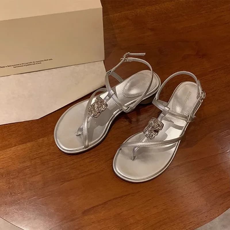 DRESS Women Sandals Summer2023 New Fashion Spend One's Holidays Pinch Toe Metal Buckle High Heel Buckle Strap Woman Shoe Silvery