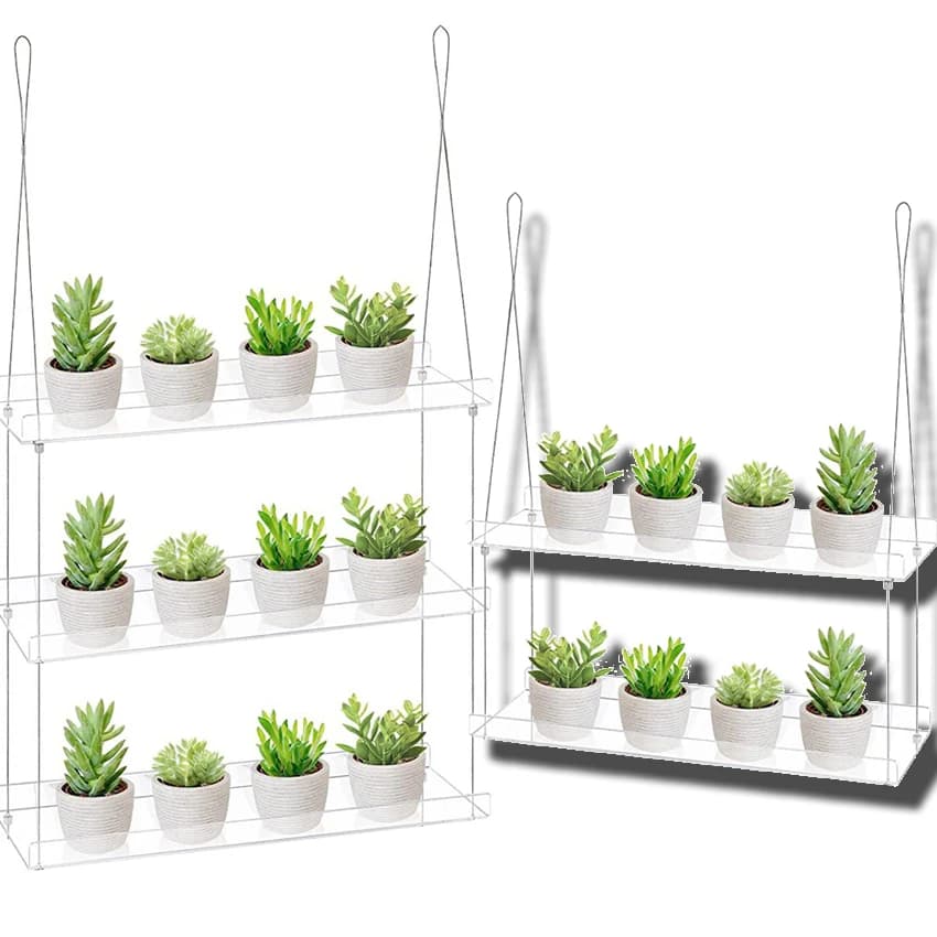 Transparent Acrylic Tulip Succulent Plant Shelves Living Room Window Wall Mounted Garden Flower Stand Balcony Shelves For Plants