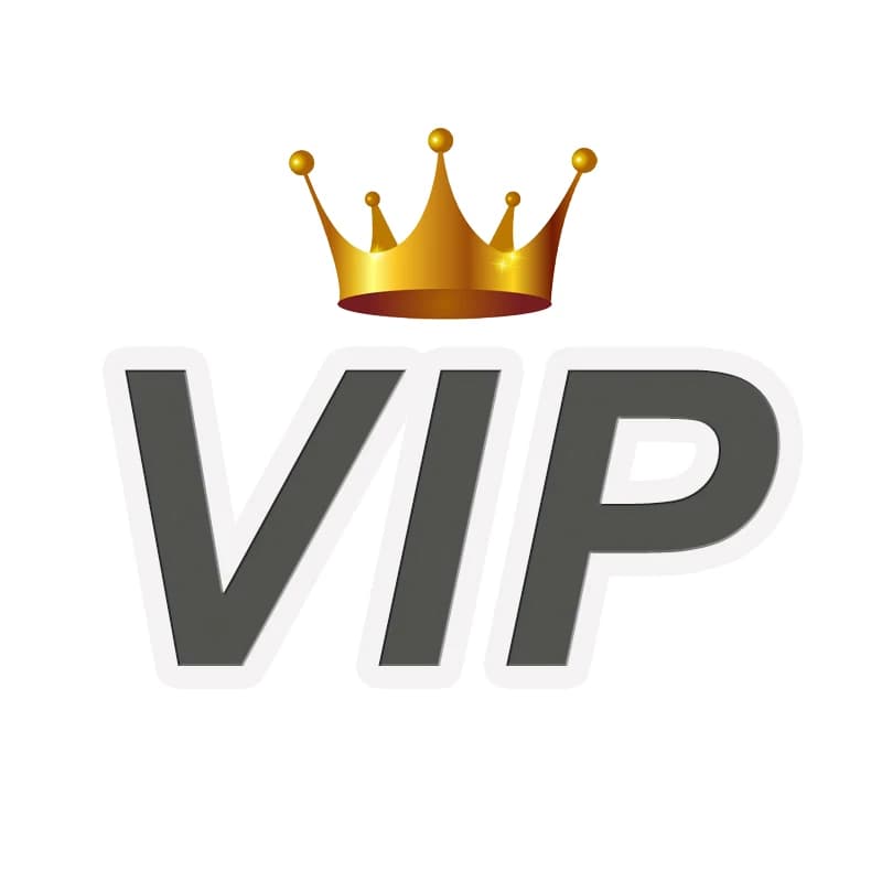 VIP version 2 Kids playing for Customization