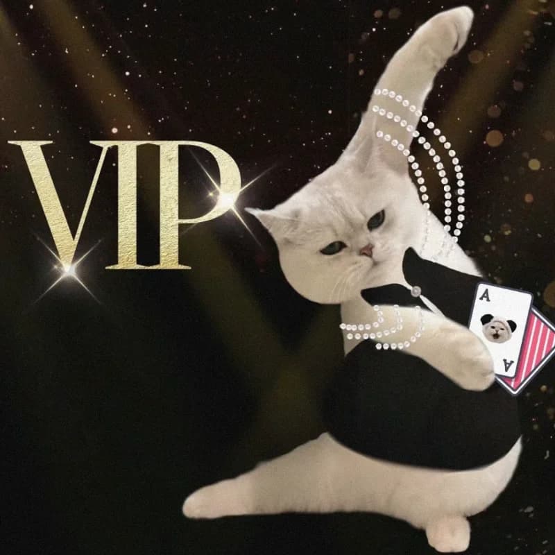 VIP Shipping Cost / Postage Difference & Additional Pay on Your Order & Extra Fees price difference