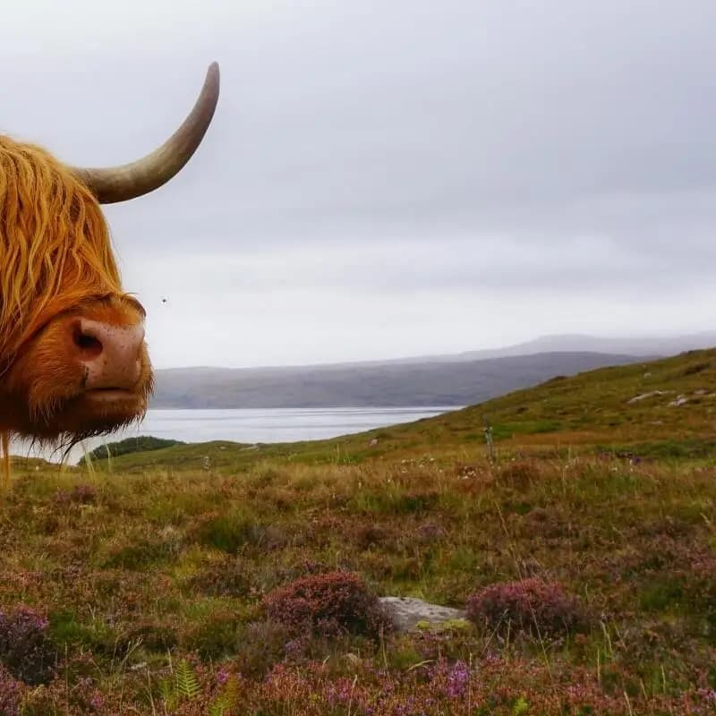 Make up the difference in postage customized