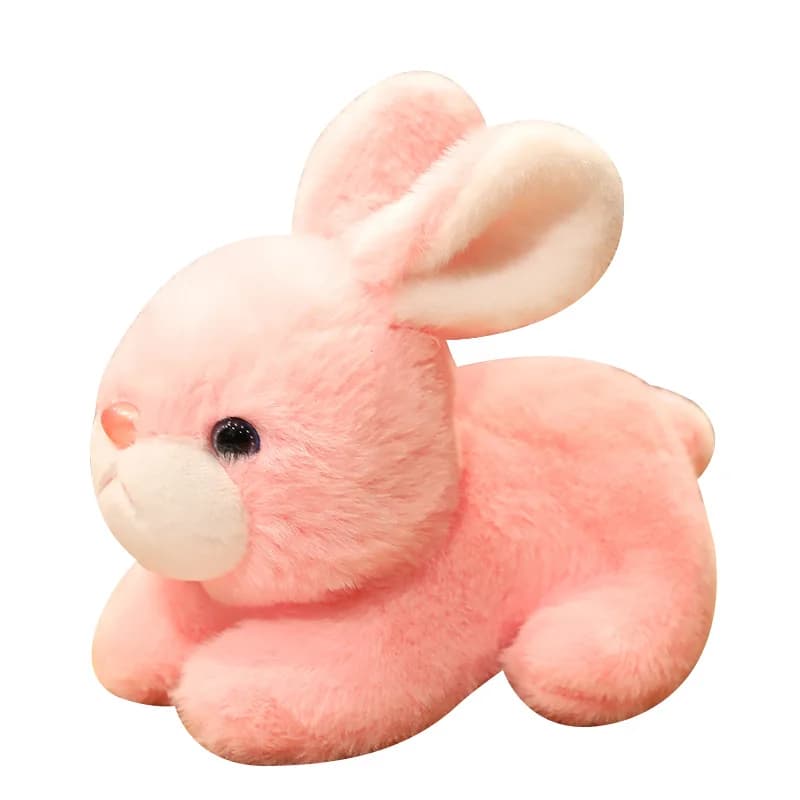 Negotiated Link 31 For Baptetou & Justine