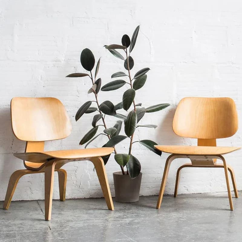 Living Room Chairs Nordic Solid Wood Leisure Chair Creative Simple Modern Designer Single Sofa Chair Aircraft Shell Chair