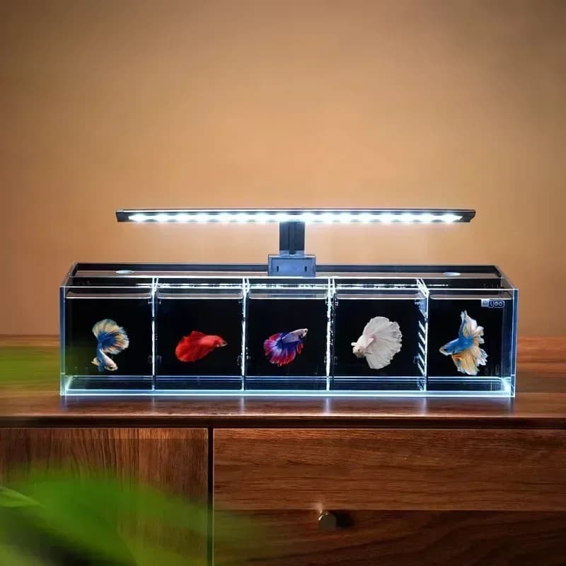 Ultra White Glass Fish Tank Betta Aquarium Isolation Small Fish Tank Multi Grid Combination Filter Change-free Water