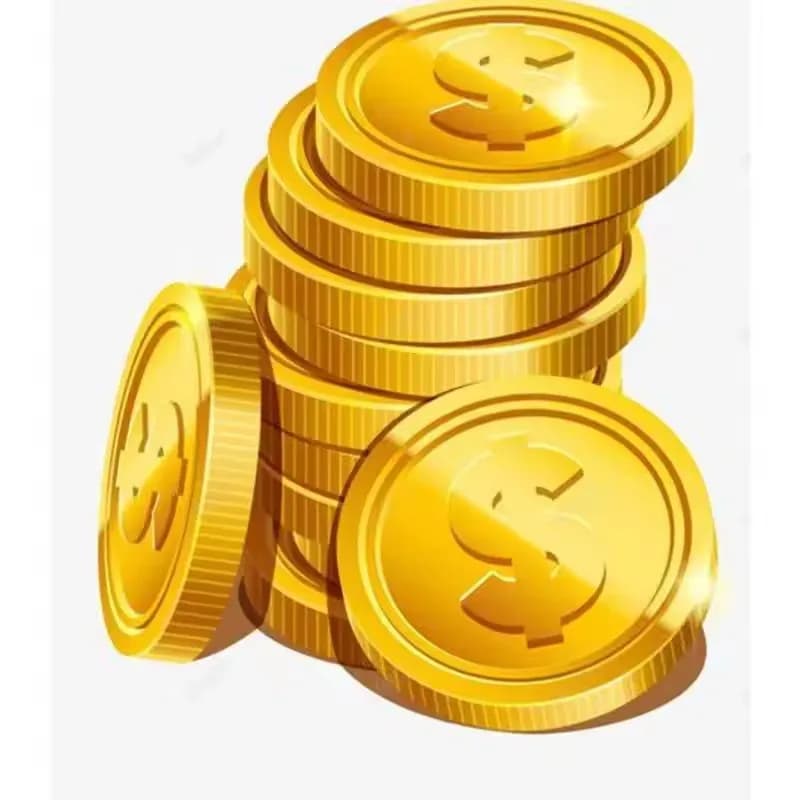 Vip Clinet shipping fee