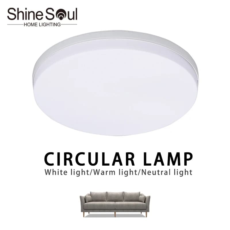 LED circular ceiling light ultra-thin modern light bedroom living room 18W 24W 36W 48W indoor home decoration light