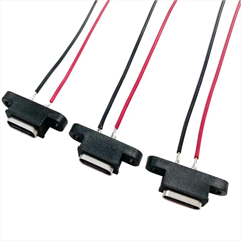 1-10pcs New Type-C 2 Pin Female USB C Socket Port With Screw Hole Fast Charge Charging Interface USB Connector cable