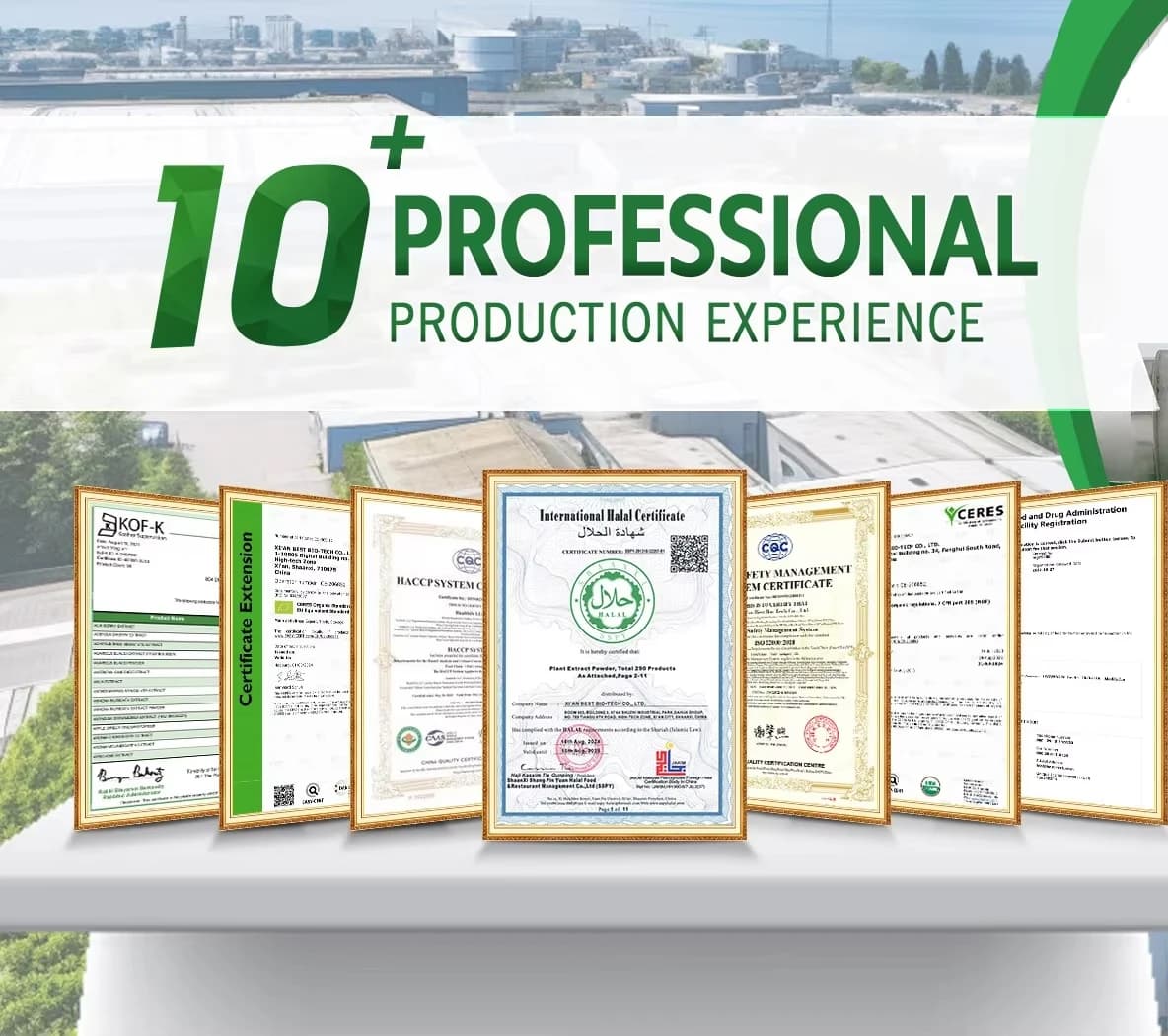 Gift Specific Link - Unique Gift Ideas