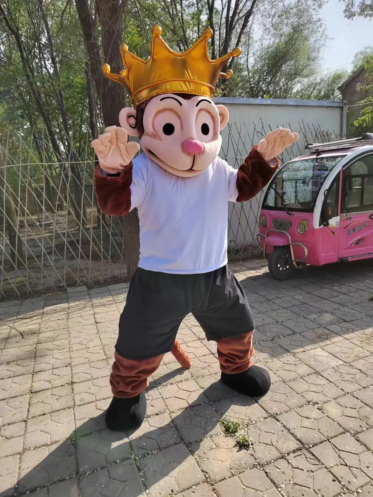 custom monkey mascot costume ape gorilla custom fancy costume anime cosplay kit mascotte theme fancy dress carnival costume42001